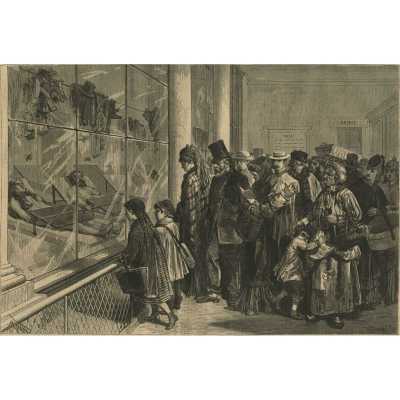 The morgue at Paris - The last scene of a tragedy
