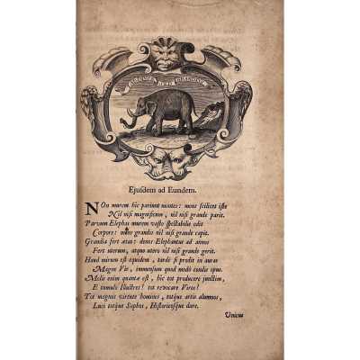 Bullart-007