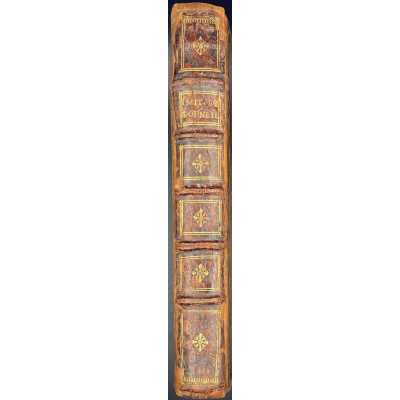 LIB-2502.2020-b