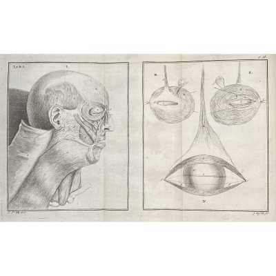 LIB-2705.2021-3
