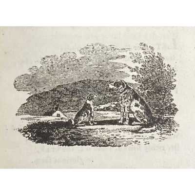 LIB-2947.2022-6