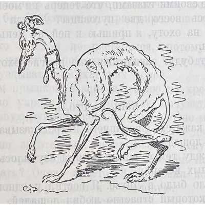 LIB-3098.2022-12