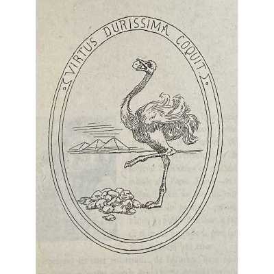 LIB-3119.2022-7