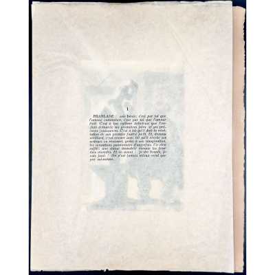 LIB-3364.2024-2