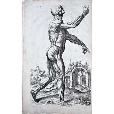 LIB-3377.2024-6