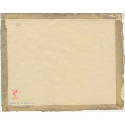 SVE-0550.2024-2