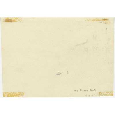 SVE-0553.2024-2