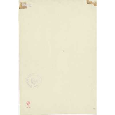 SVE-0556.2024-2