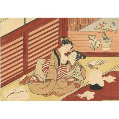 SVJP-0028.2013-1