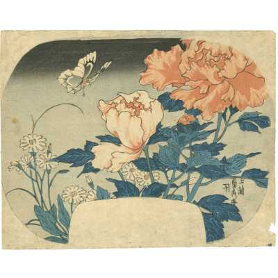 SVJP-0371.2022-1 web