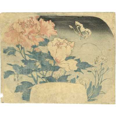 SVJP-0371.2022-2 web