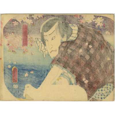 SVJP-0388.2023-2 web