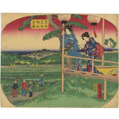 SVJP-0397.2023-1