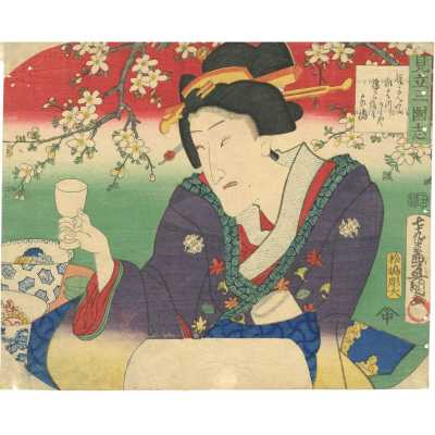 SVJP-0413.2023-1