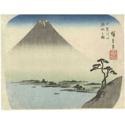 SVJP-0475.2025-1