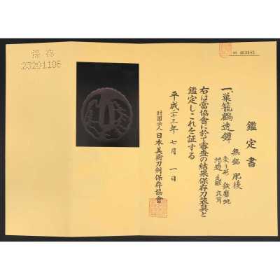 TSU 0258-d