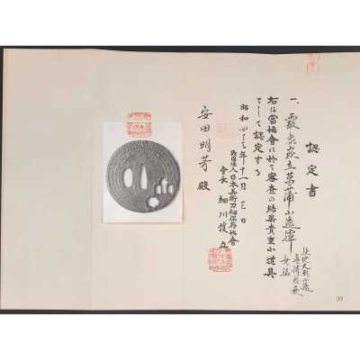 TSU 0295-d