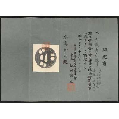 TSU 0347-e