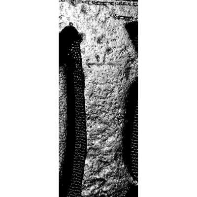 TSU 0351-s