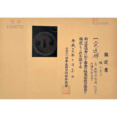TSU 0391-i
