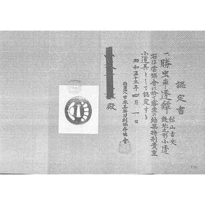 TSU-0407.2020-g