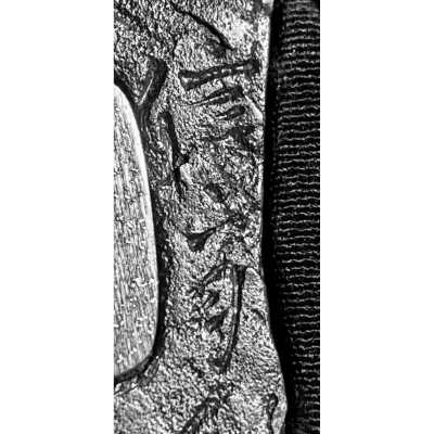 TSU-0410.2021-6