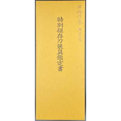 TSU-0411.2021-6