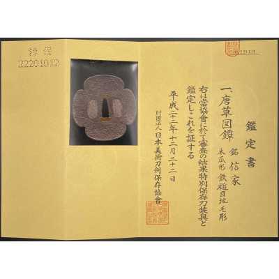 TSU-0411.2021-7