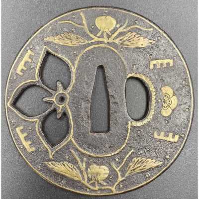 TSU-0418.2021-1 web