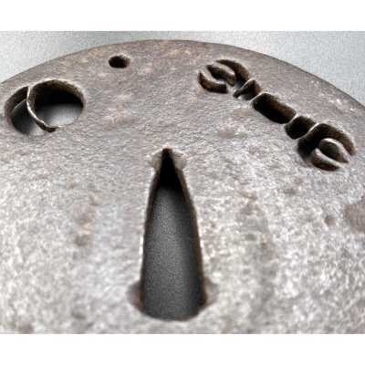 TSU-0423.2022-3 WEB