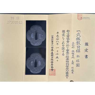 TSU-0432.2023-7