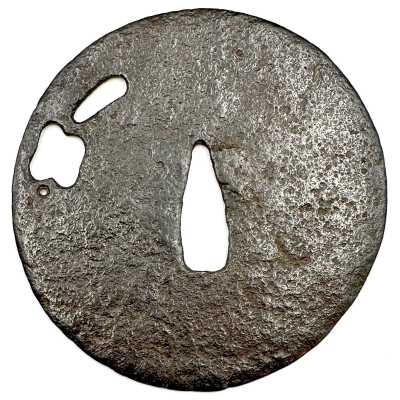 TSU-0437.2024-4