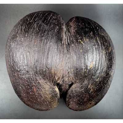 VO-0474.2024-1