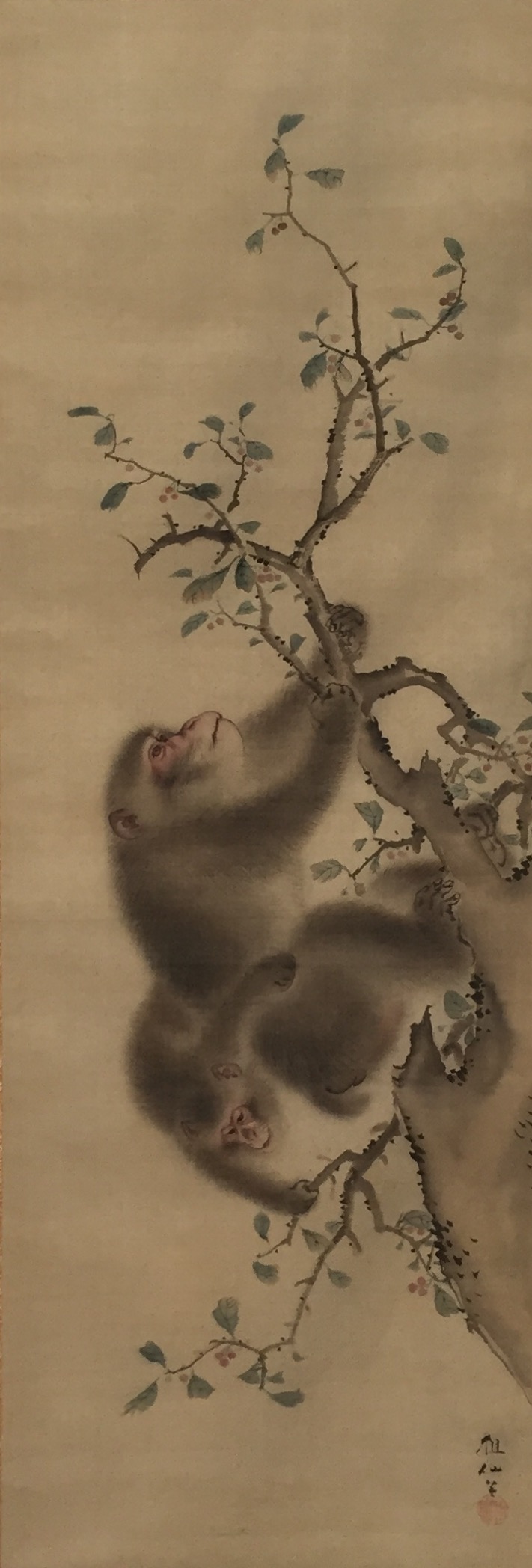 Two Monkeys Hanging From Branches. Mori Sosen (1747-1821).