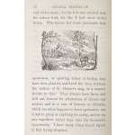 [RASPE, Rudolf Erich]. The Travels and Surprising Adventures of Baron Munchausen. / Illustrated with 37 curious engravings, from the Baron's own designs, and five woodcuts, by G. Cruikshank. — London: William Tegg, 1869. — xii + [10] + 268 pp.